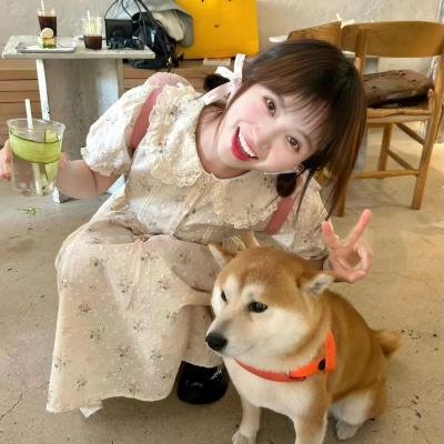 青春之旅第一季